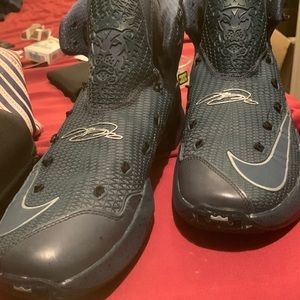 2016 signature, LeBron, James, limited edition shoes, brand new